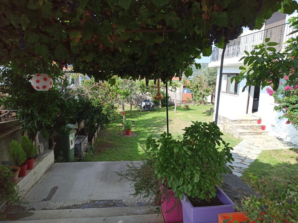 Dora'S House Comfortable Apartment With A Yard And View Pyrgadikia Luaran gambar