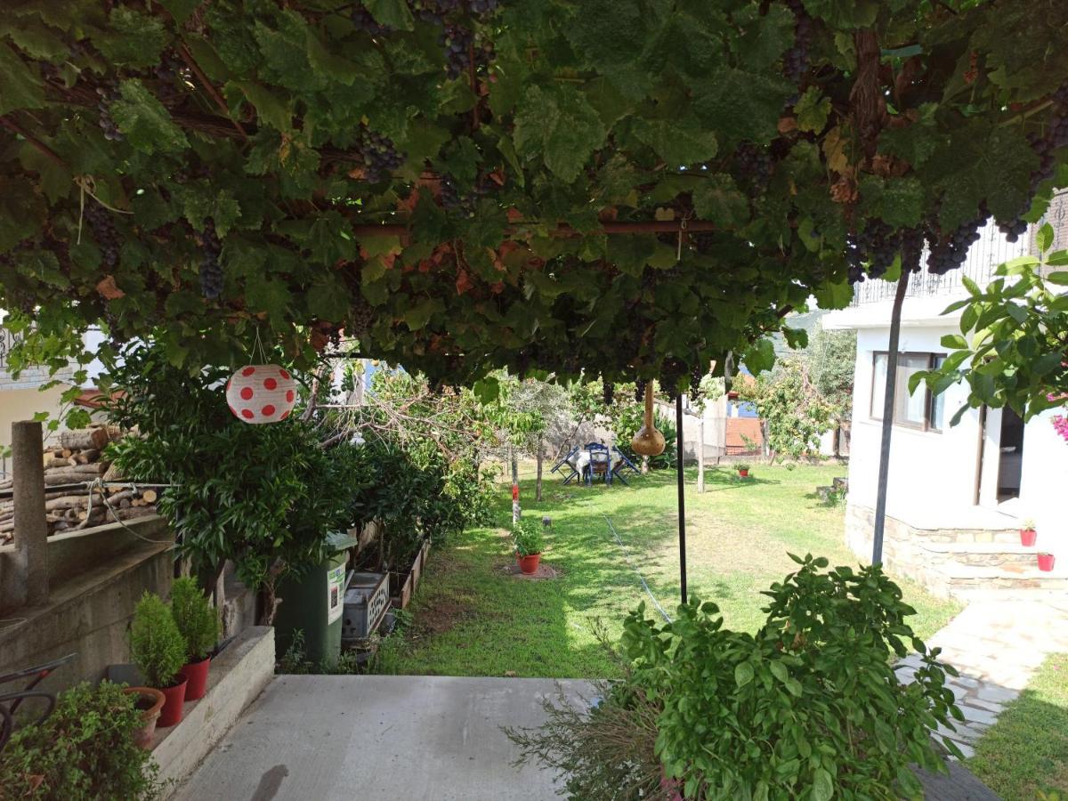 Dora'S House Comfortable Apartment With A Yard And View Pyrgadikia Luaran gambar